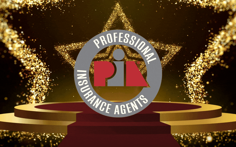 2026  Golden Animated Stars Award Video