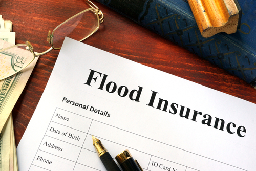 flood insurance2