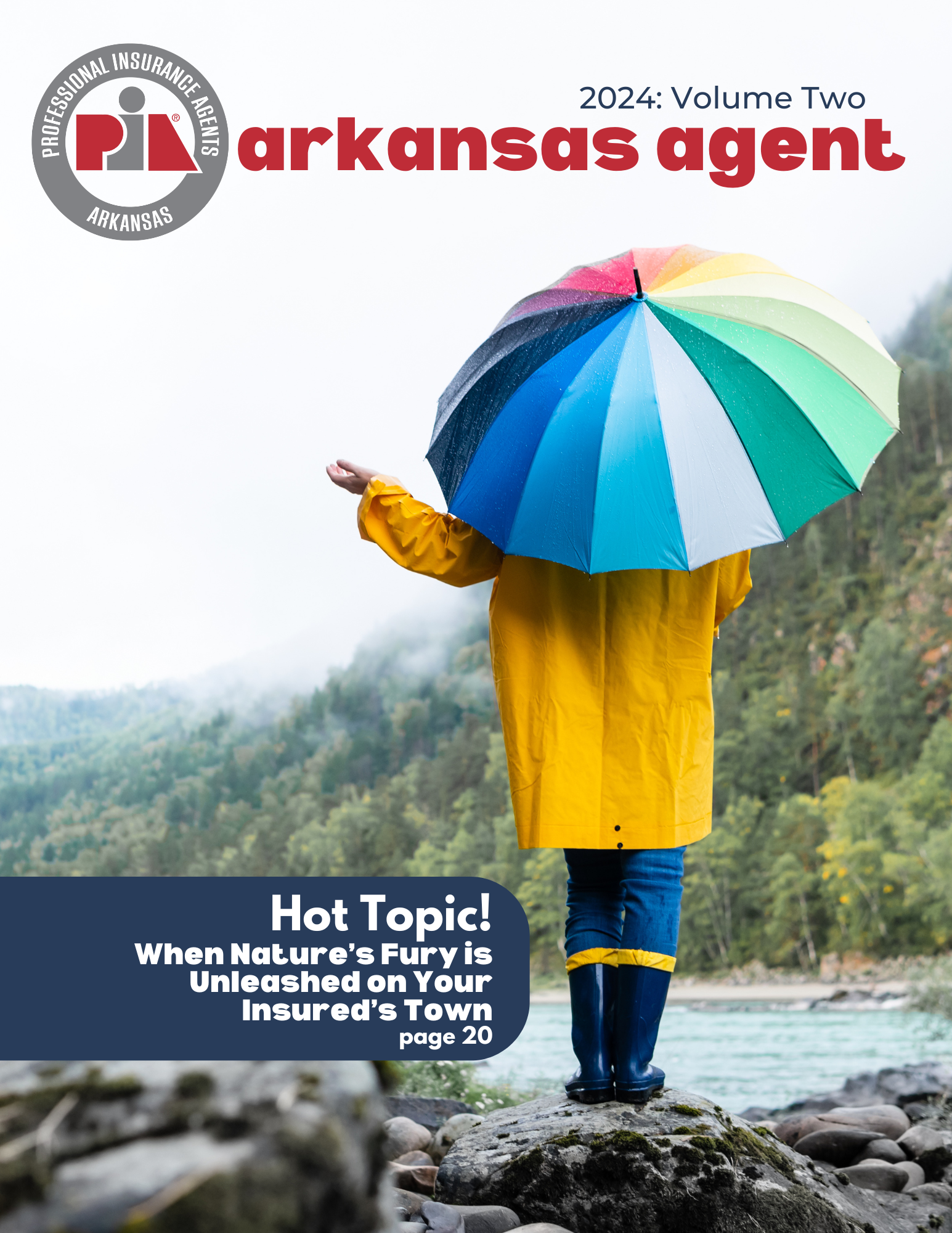 Volume 2, 2024 PIA Arkansas Agent (1)